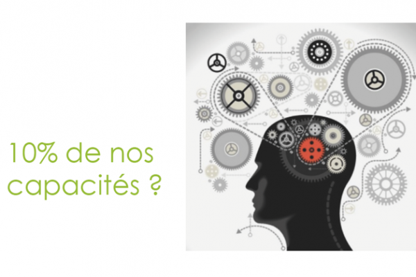 Croyances et mythes sur notre cerveau