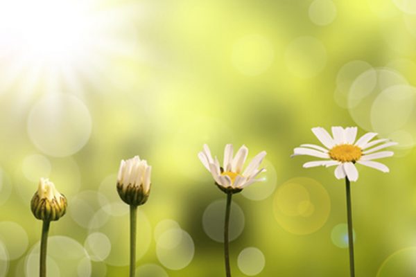 Coaching : un accompagnement vers ses potentialités