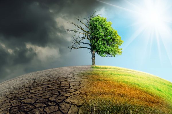 Enquête Changement et Planète, votre avis compte